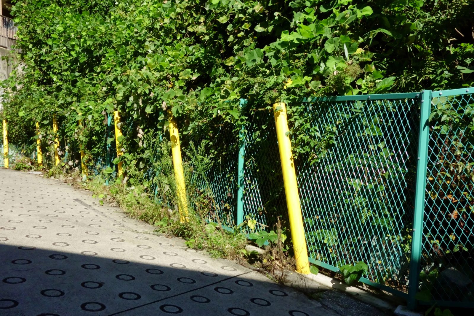 Mrežne ograje so odlično zagradile moj vrt